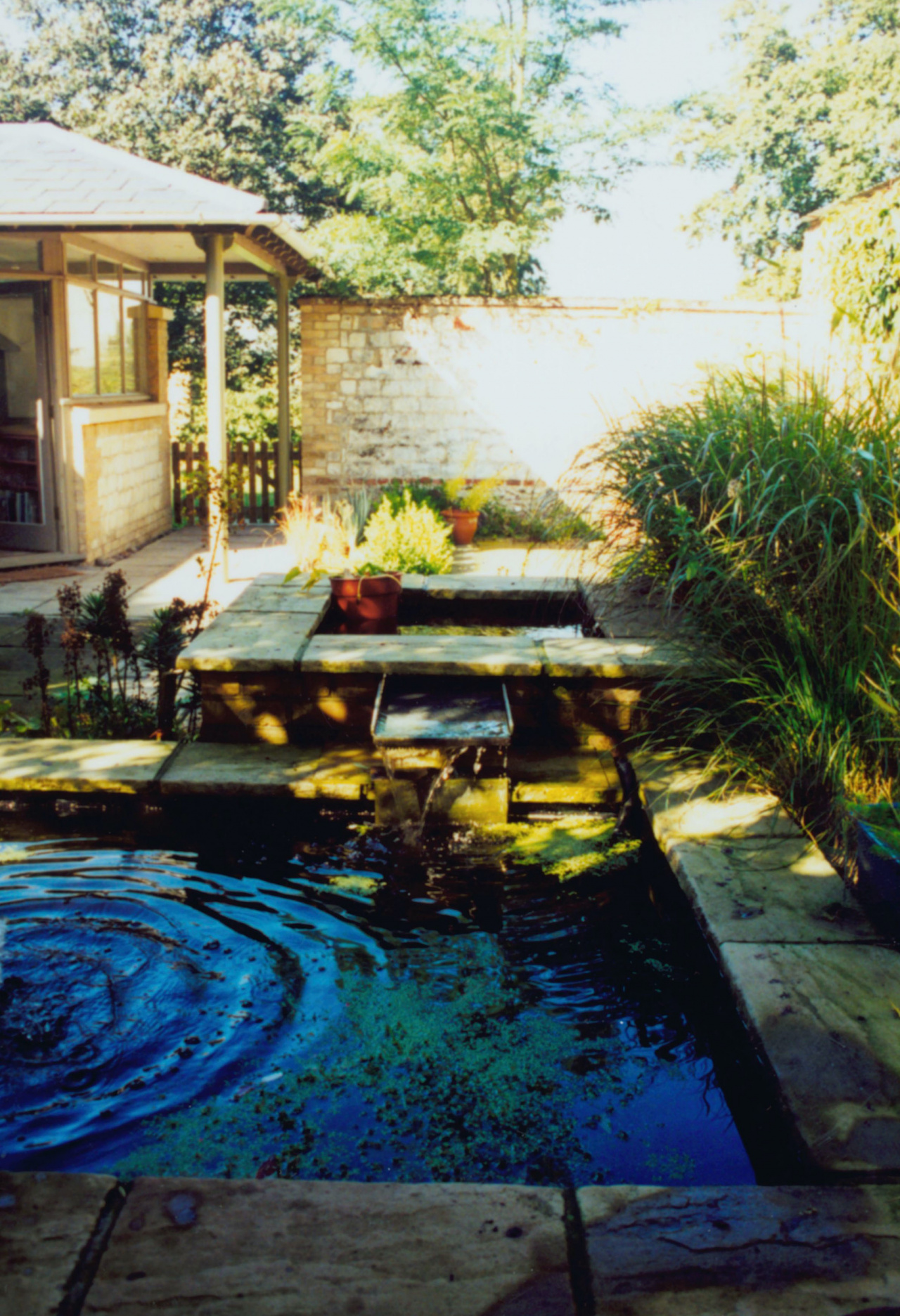 Garden and pond